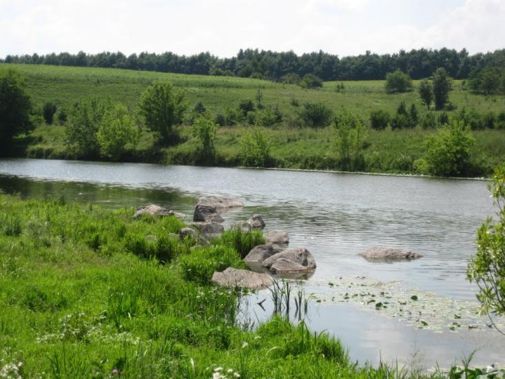 Рогізна з panoramio.com - Рогізна