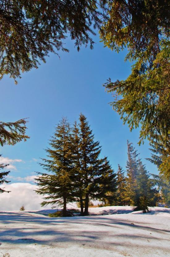 Кривопілля з panoramio.com - Кривопілля