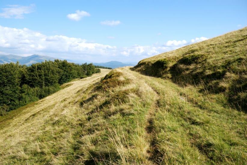 Кваси з panoramio.com - Квасы