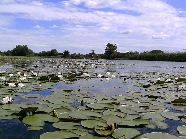 Хрещатик з panoramio.com - Крещатик