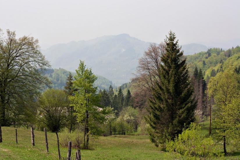 Хорови з panoramio.com - Хоровы