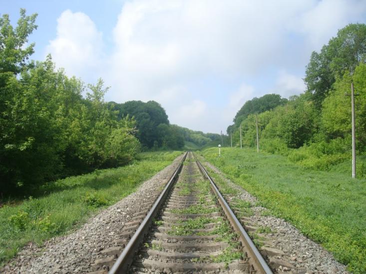 Нестерівці з panoramio.com - Нестерівці