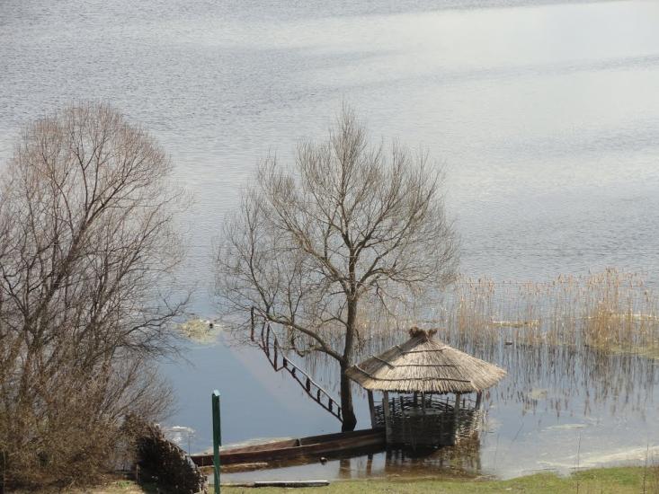 Сваловичі з panoramio.com - Сваловичи