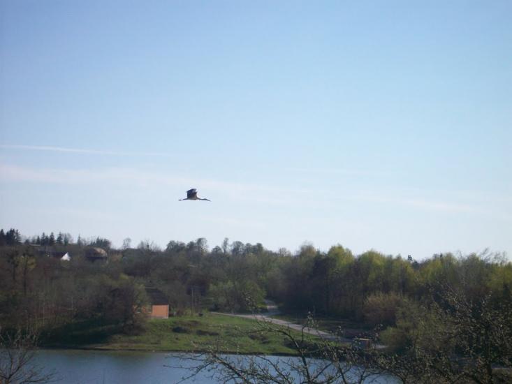 Ковалівка з panoramio.com - Ковалівка