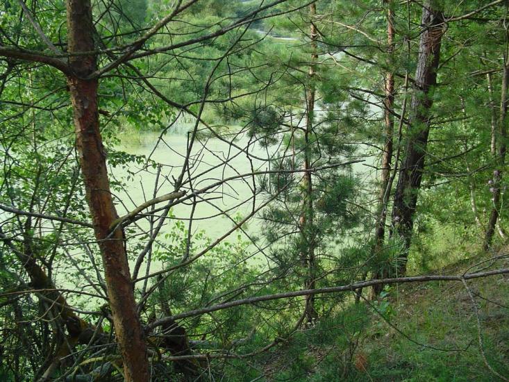 Семки з panoramio.com - Семки