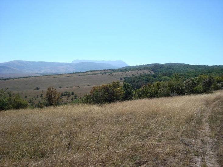 Піонерське з panoramio.com - Пионерское