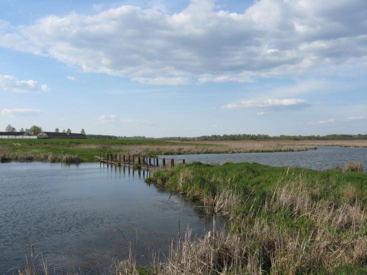 Іванів з panoramio.com - Иванов
