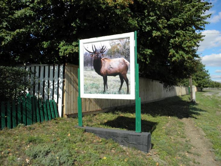 Яреськи з panoramio.com - Яреськи