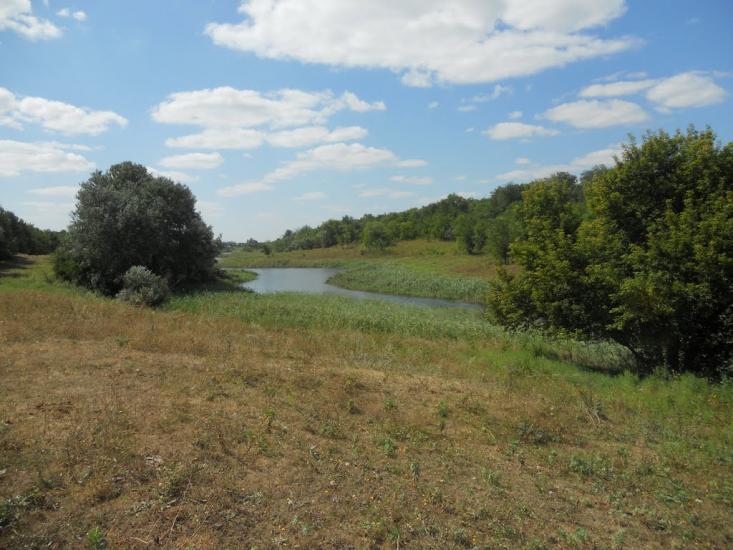 Шевченківка з panoramio.com - Шевченківка
