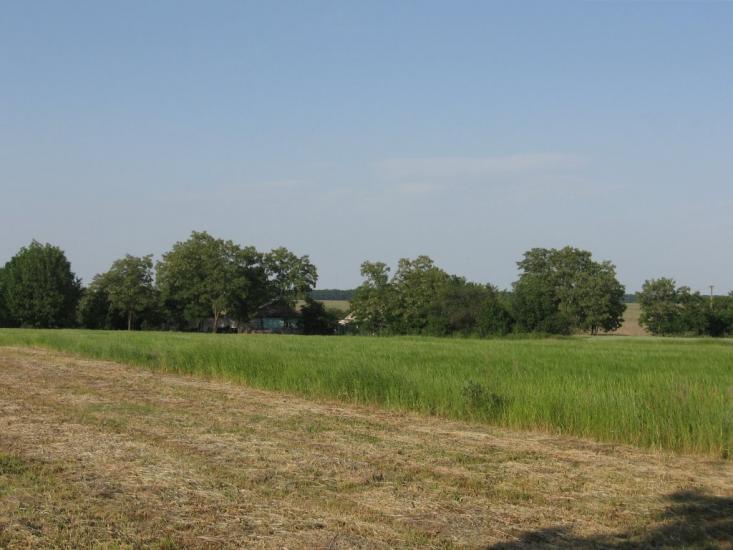 Кищенці з panoramio.com - Kyschentsi