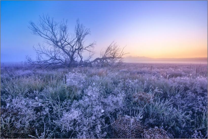 Мохнач з panoramio.com - Мохнач