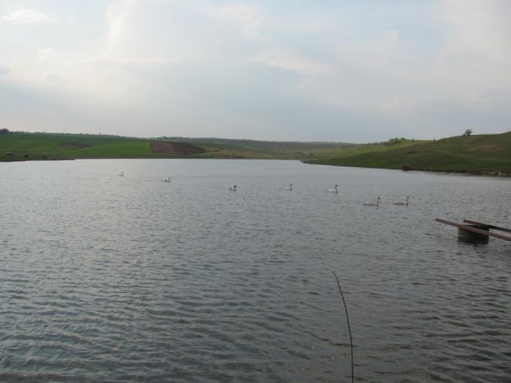 Довжок з panoramio.com - Dovzhok