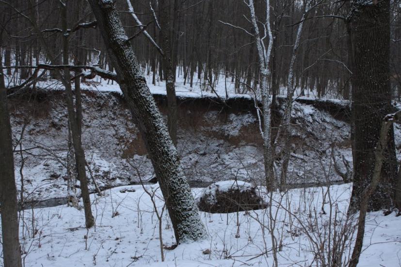 Юрківці з panoramio.com - Юрковцы