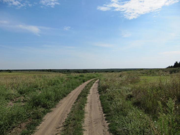 Підлісне з panoramio.com - Pidlisne