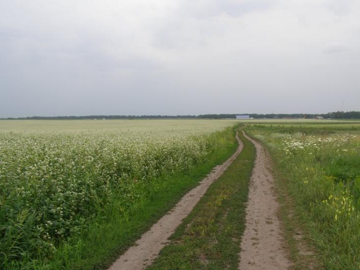 Пінчуки з panoramio.com - Пинчуки