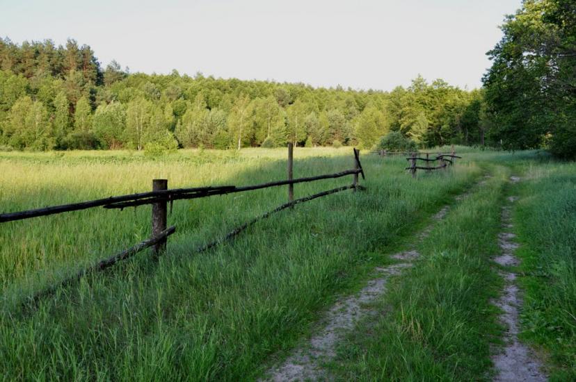 Рудня-Шпилівська з panoramio.com - Рудня-Шпилевская