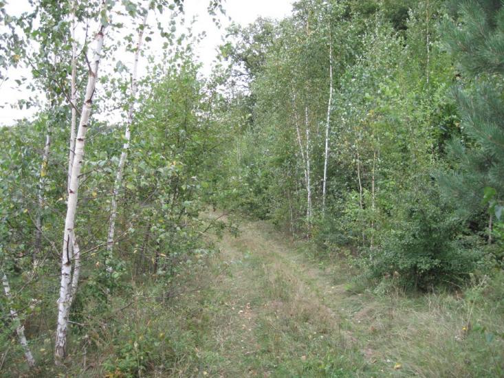 Галузинці з panoramio.com - Galuzyntsi