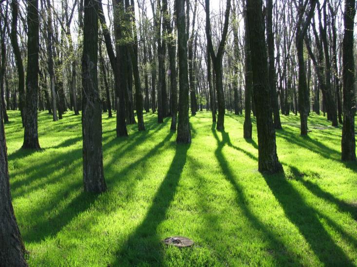 Малокаховка з panoramio.com - Малокаховка