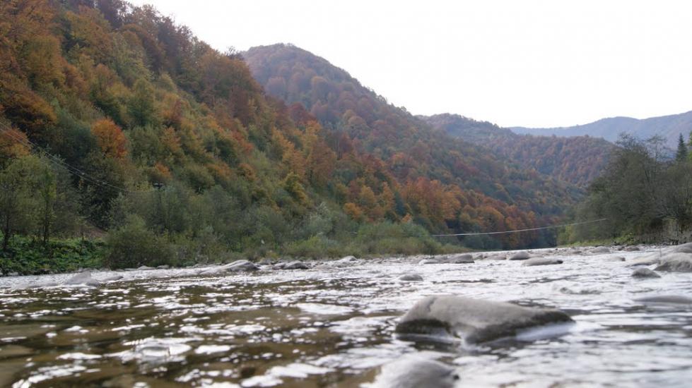 Противень з panoramio.com - Противень