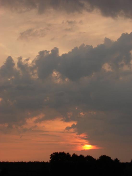 Борова з panoramio.com - Борова