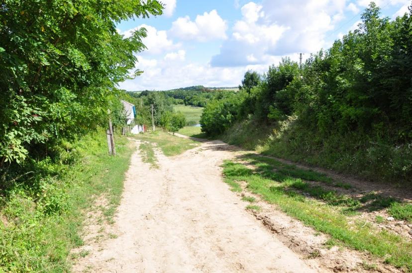 Шарапанівка з panoramio.com - Шарапанівка