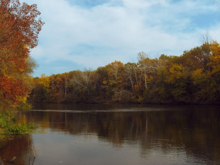 Пискунівка з panoramio.com - Pyskunivka