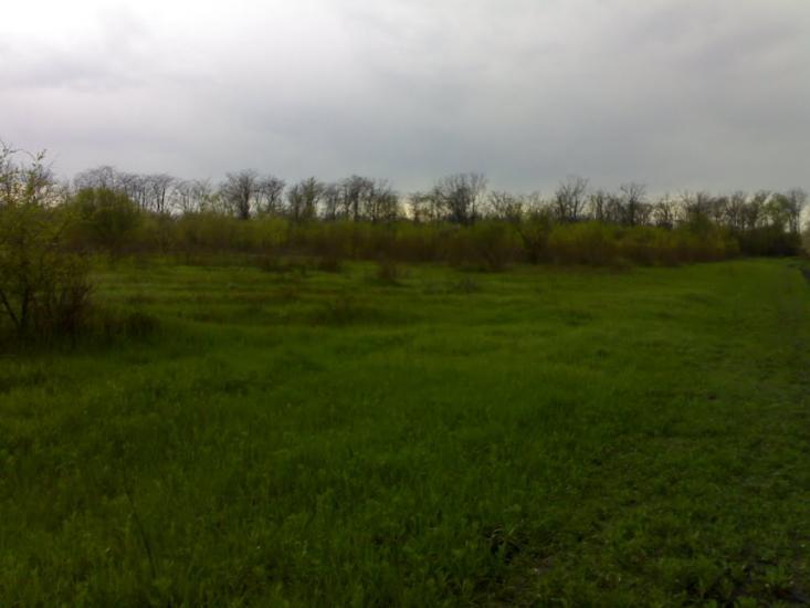 Виноградар з panoramio.com - Виноградар