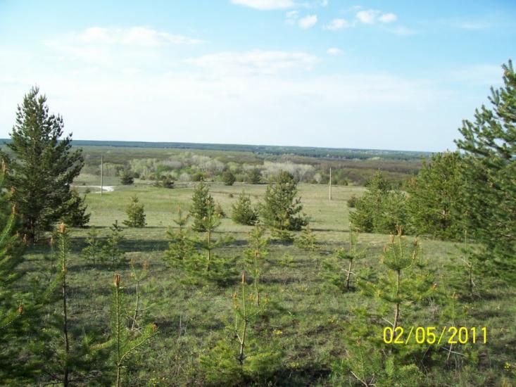 Пискунівка з panoramio.com - Pyskunivka