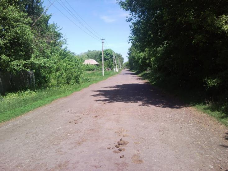 Кошари з panoramio.com - Кошари
