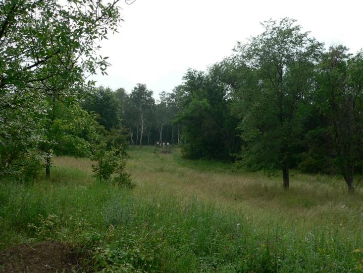 Бугаївка з panoramio.com - Бугаевка