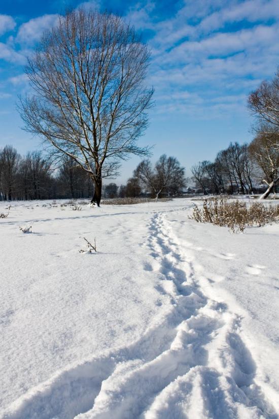 Вовчанськ з panoramio.com - Волчанск
