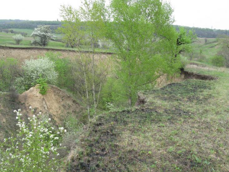Придніпрянське з panoramio.com - Придніпрянське