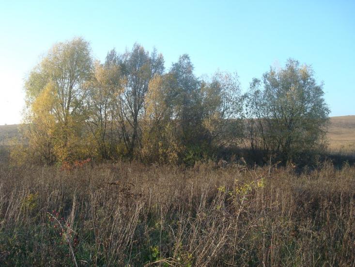 Томашівка з panoramio.com - Томашовка