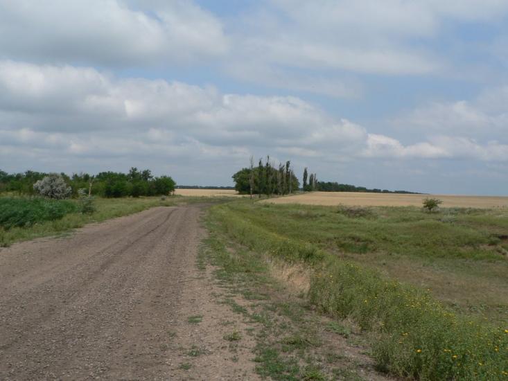 Баштанка з panoramio.com - Баштанка