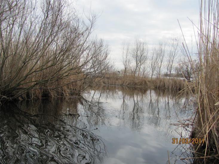 Кардашинка з panoramio.com - Кардашинка