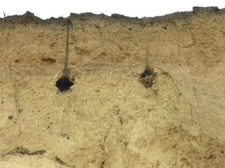 Миколаївка з panoramio.com - Миколаївка