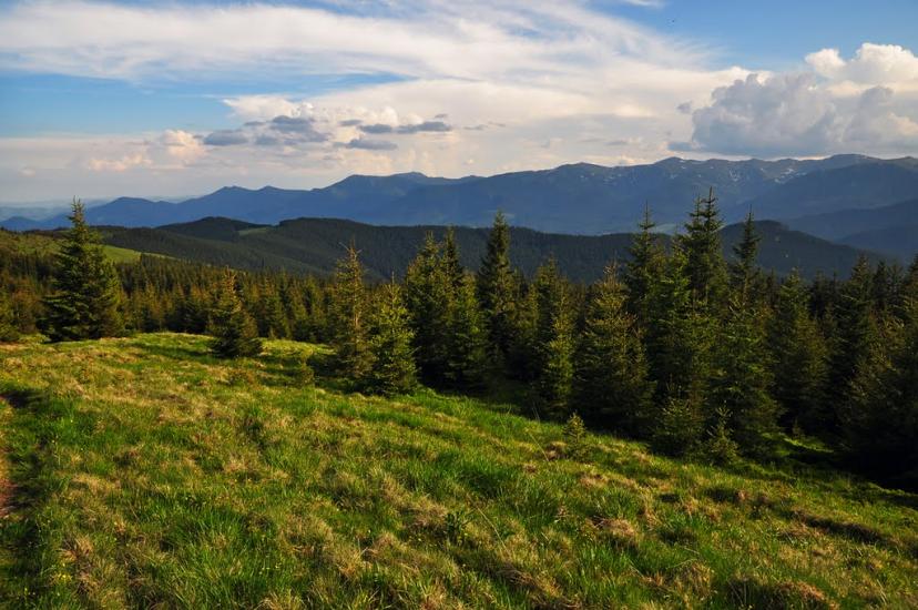 Кривопілля з panoramio.com - Кривопілля