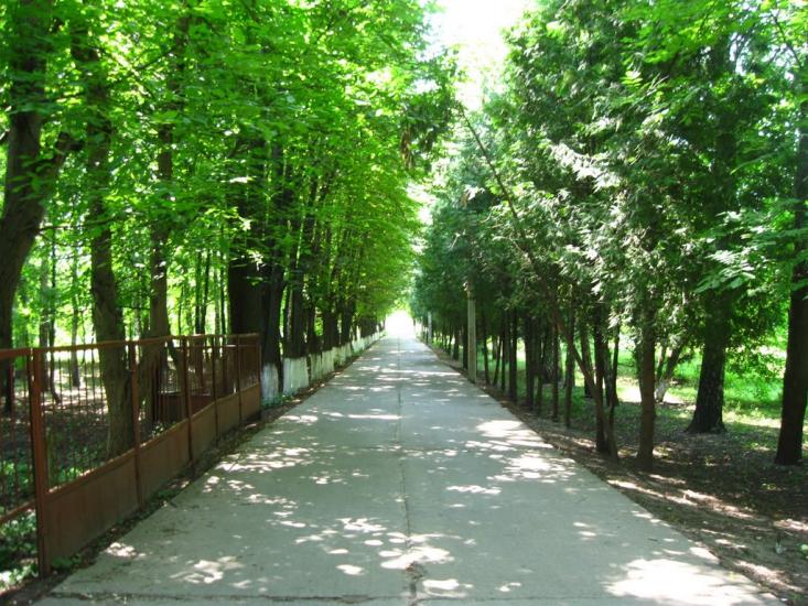 Золотоноша з panoramio.com - Золотоноша