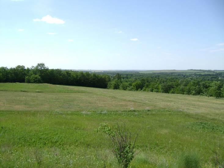 Брагинці з panoramio.com - Брагинцы