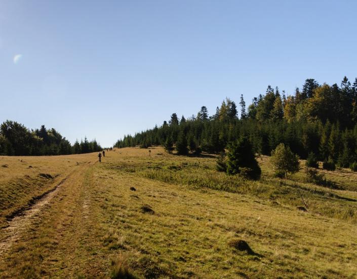 Ужок з panoramio.com - Ужок