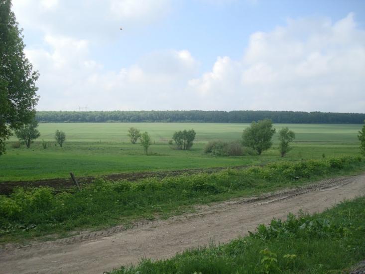Нестерівці з panoramio.com - Нестеровцы