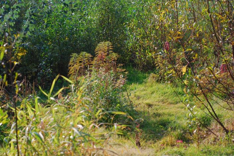 Макошине з panoramio.com - Макошино
