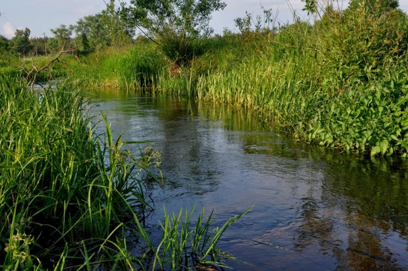 Рудня-Шпилівська з panoramio.com - Rudnya-Shpylivska