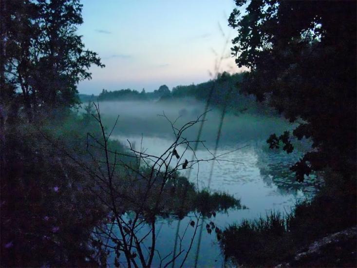 Струмок з panoramio.com - Струмок