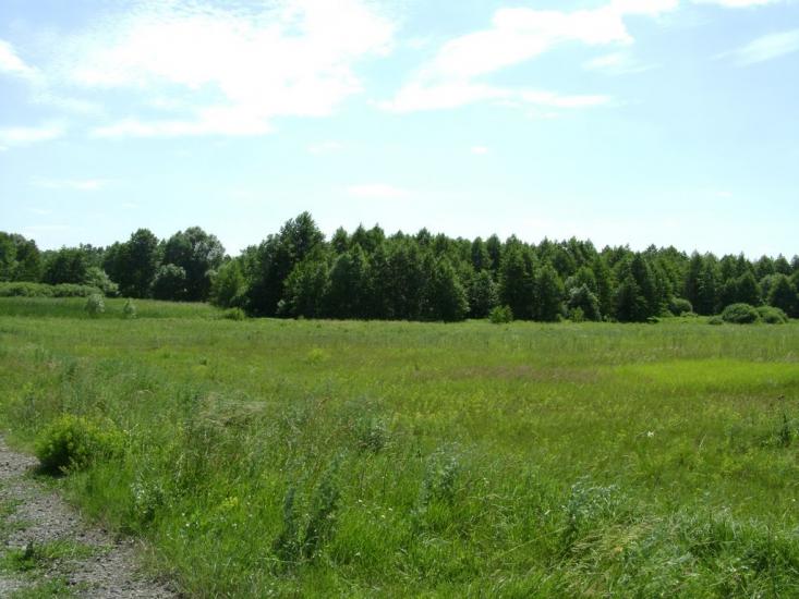 Брагинці з panoramio.com - Брагинці