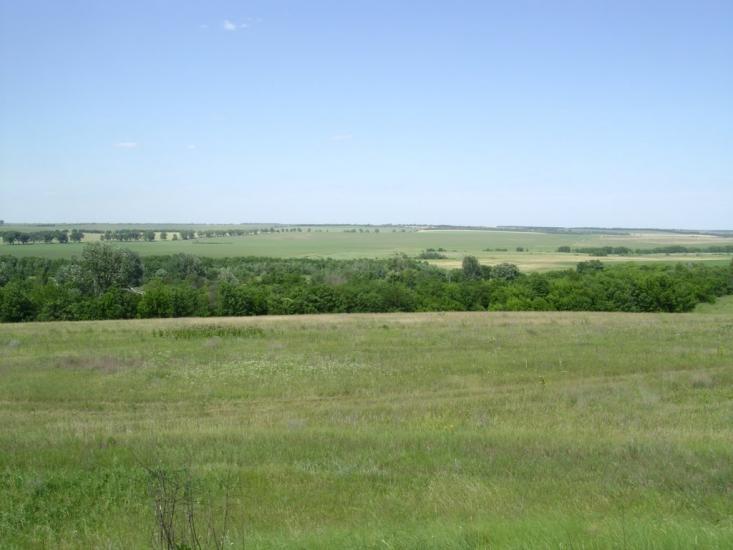 Брагинці з panoramio.com - Брагинцы