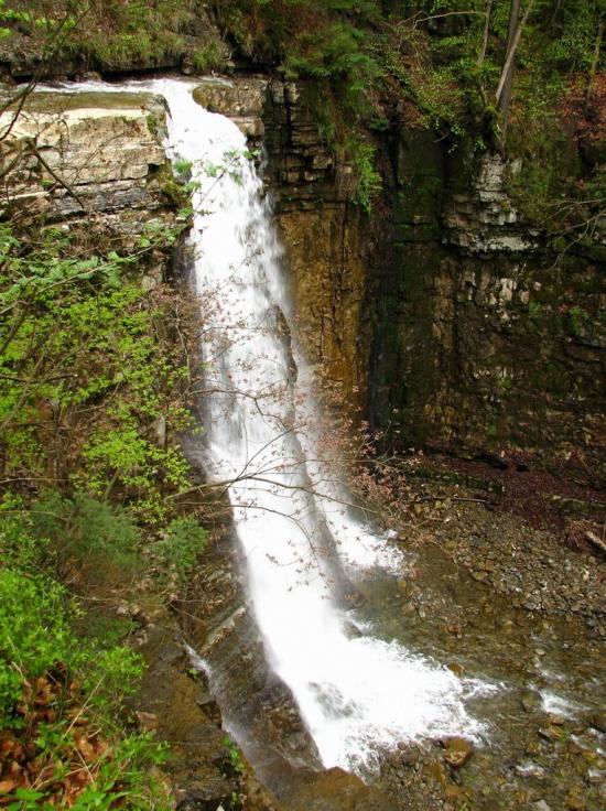 Кричка з panoramio.com - Krychka