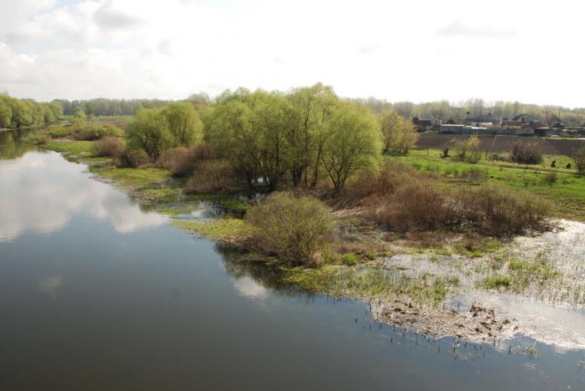 Байрак з panoramio.com - Байрак