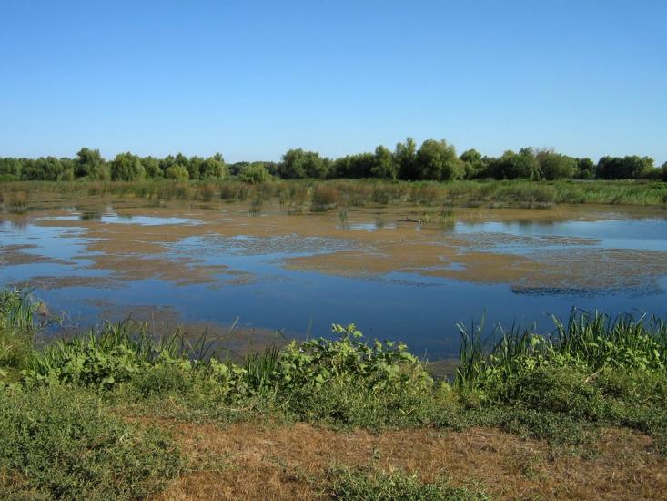 Ліски з panoramio.com - Лески
