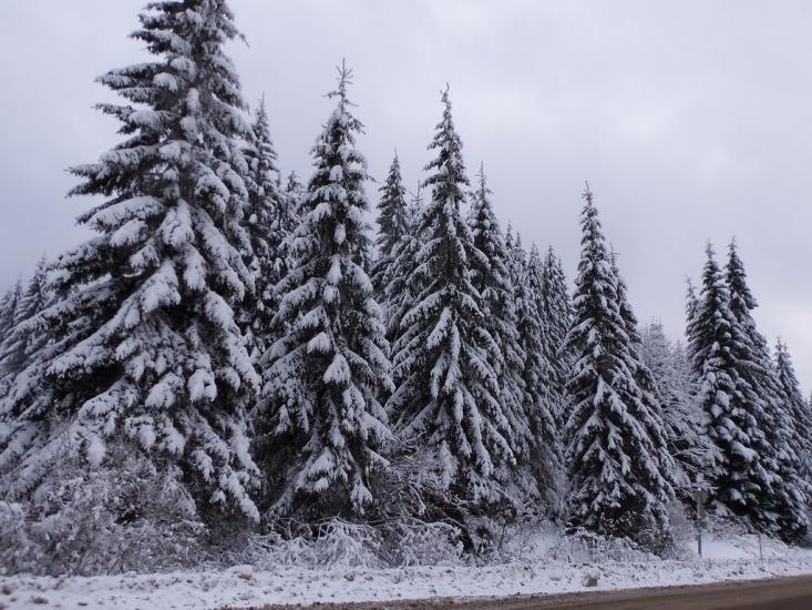Вишків з panoramio.com - Вышков
